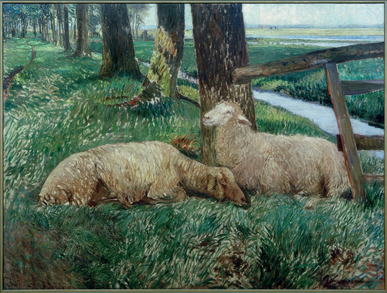 Moutons au repos - Fritz Mackensen