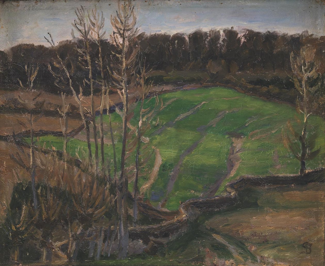 Paysage près de Svanninge avec des semis d