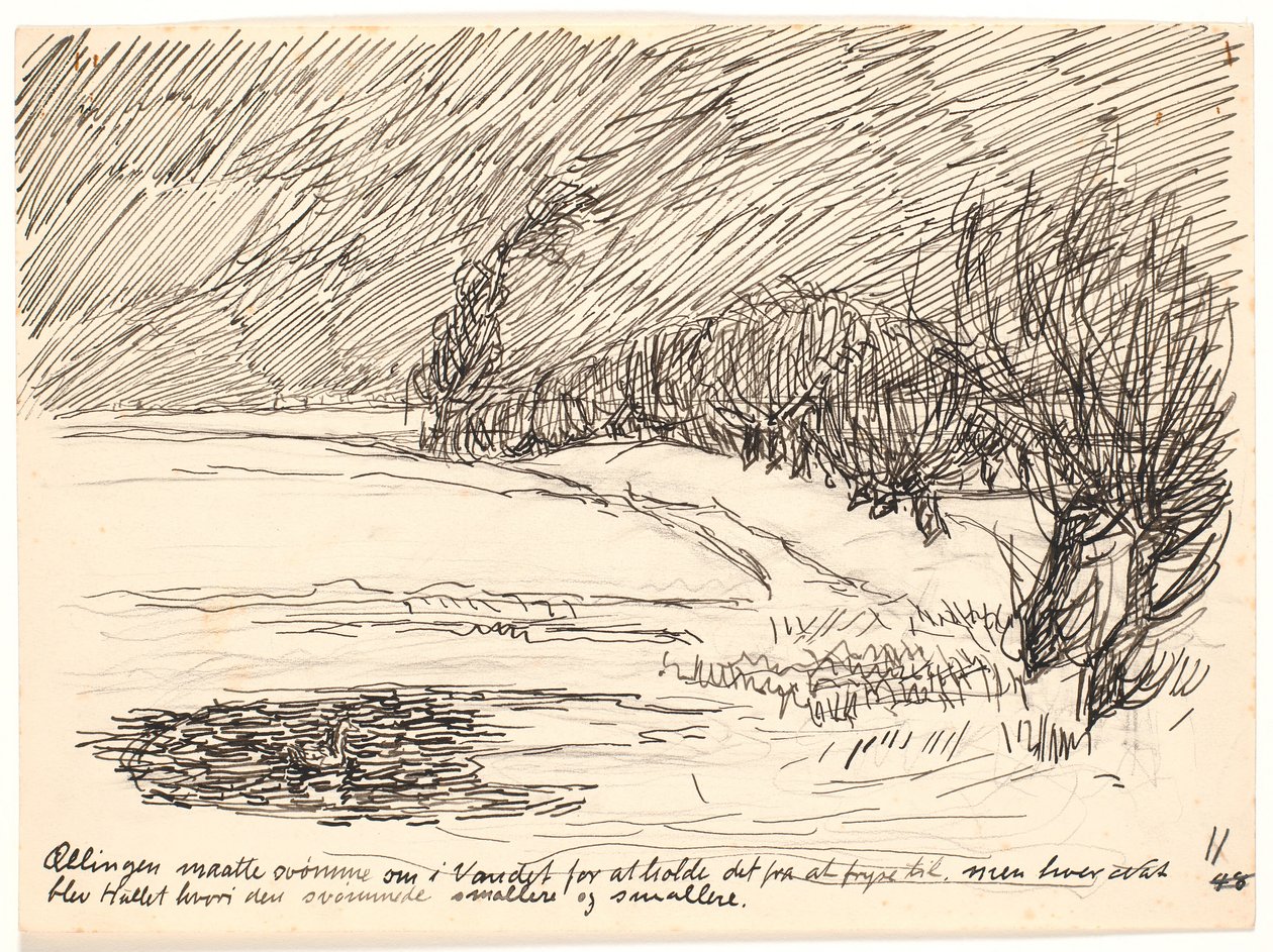 Le caneton devait nager... - Fritz Syberg
