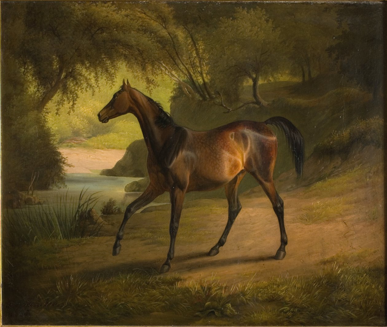 Antonia - Fritz Thomsen
