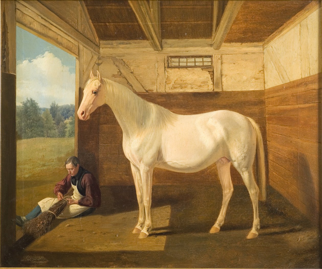 Svanhvide - Fritz Thomsen