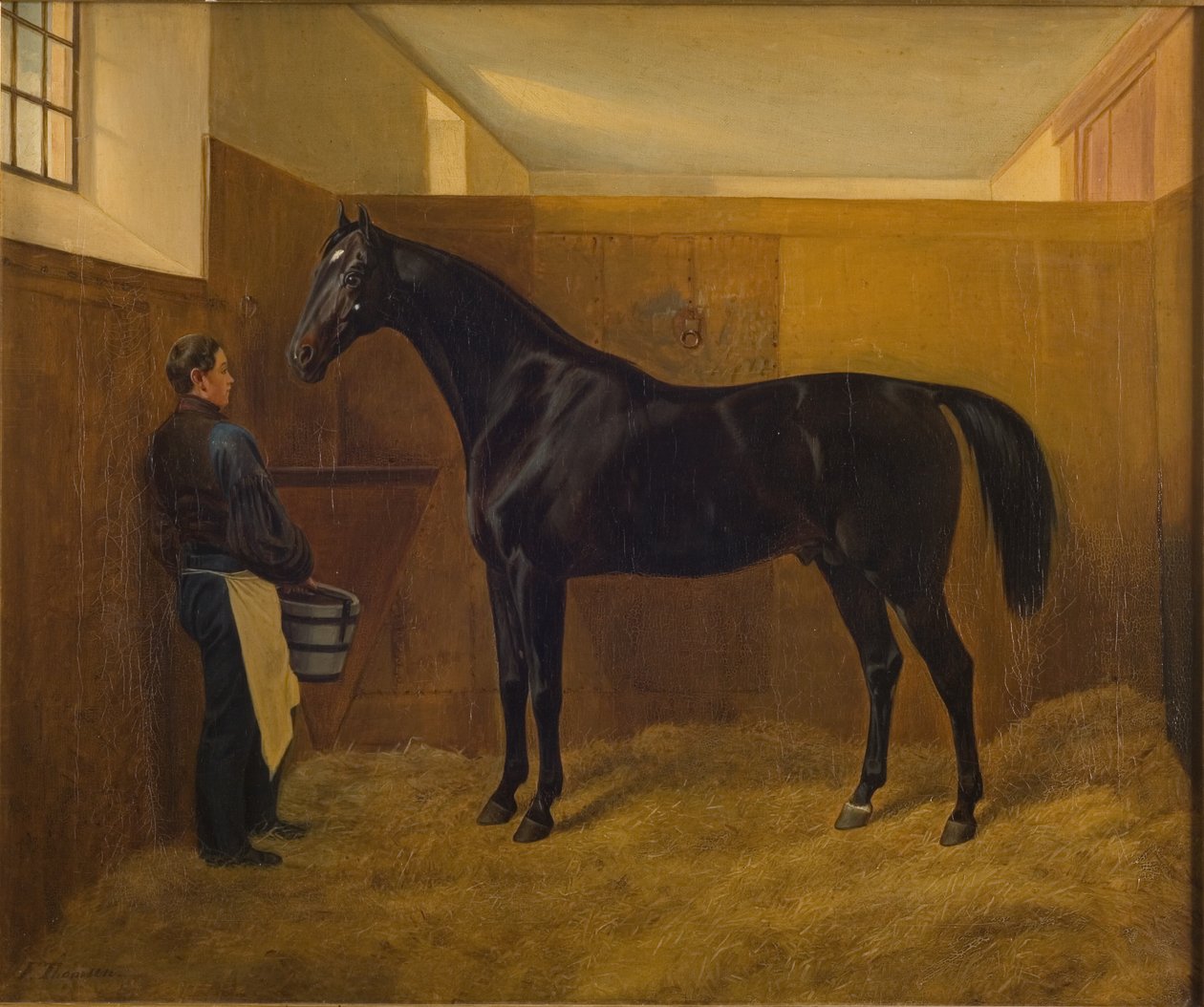 Zampa - Fritz Thomsen