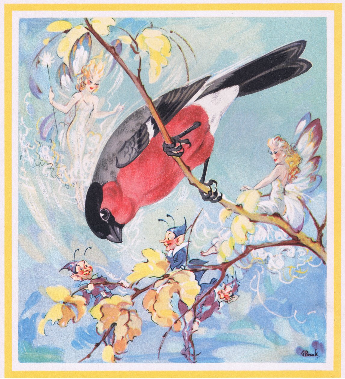 Bouvreuil - G. Brooks