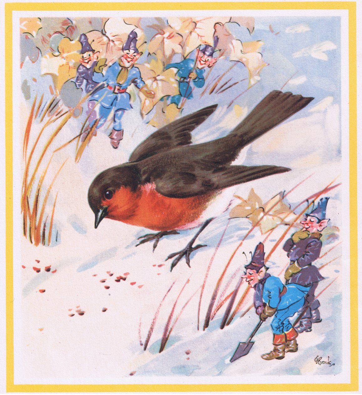 Rouge-gorge - G. Brooks