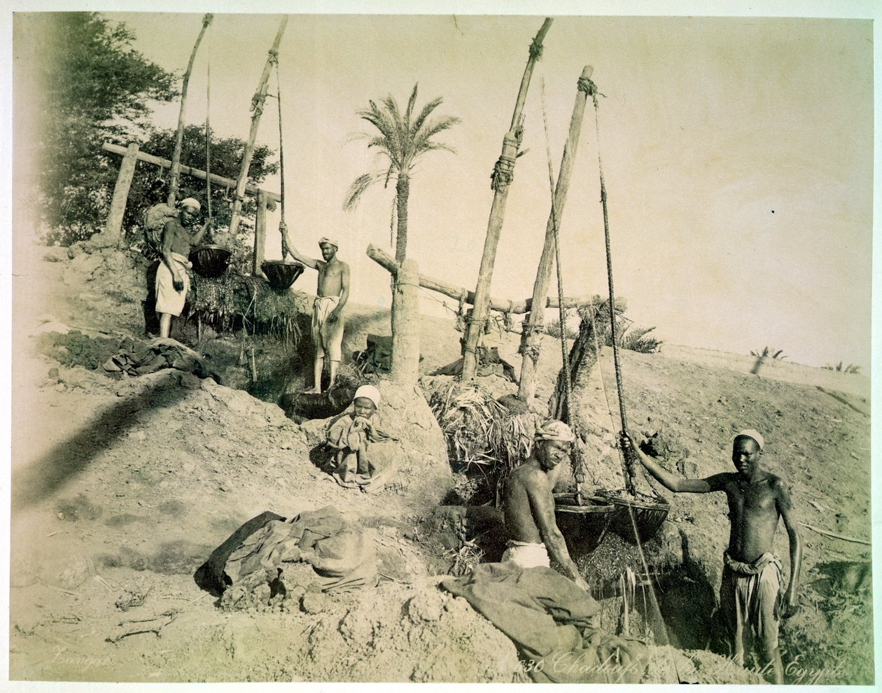 Shadufs en Haute-Égypte - G. Lekegian