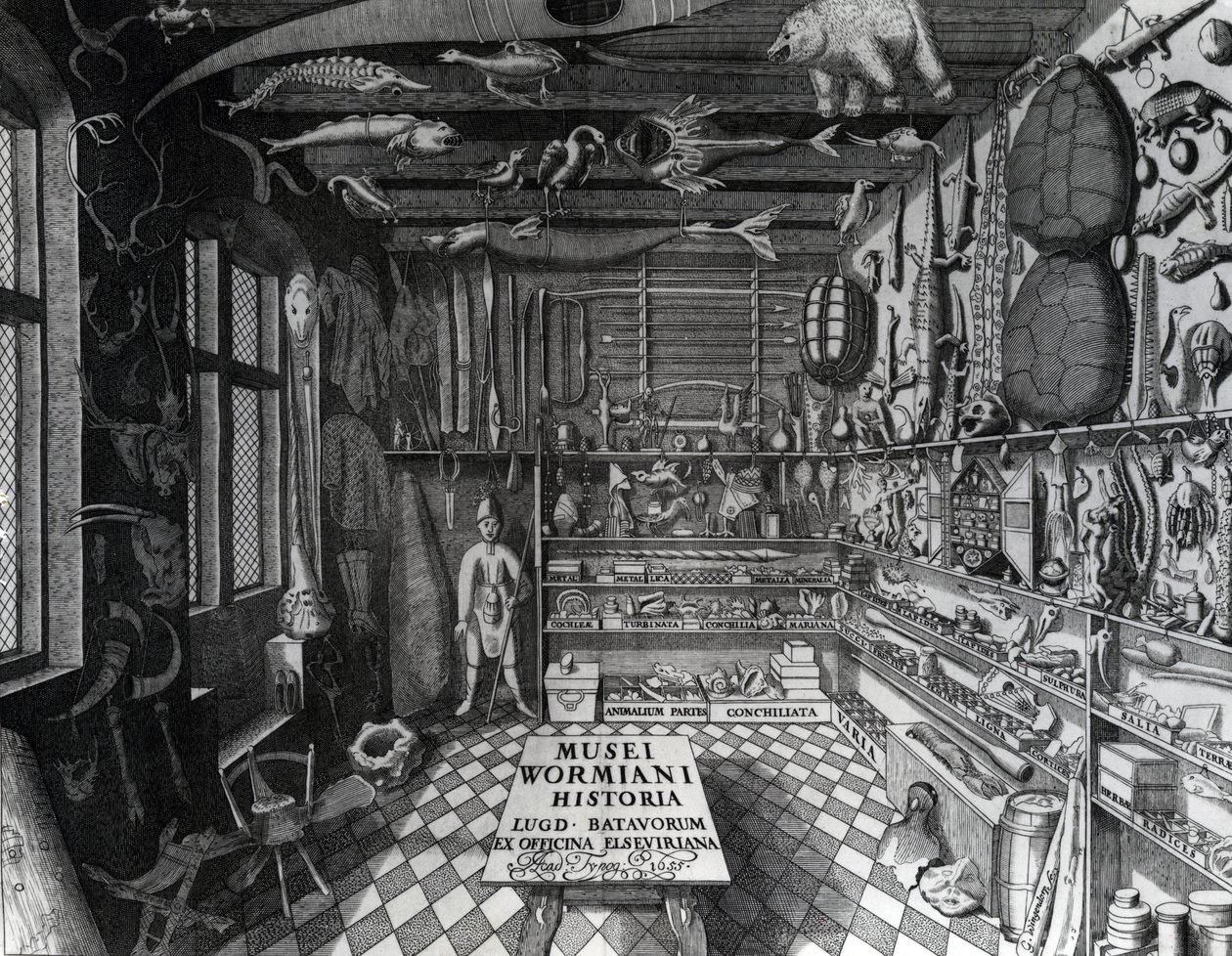 Frontispice du cabinet de curiosités d