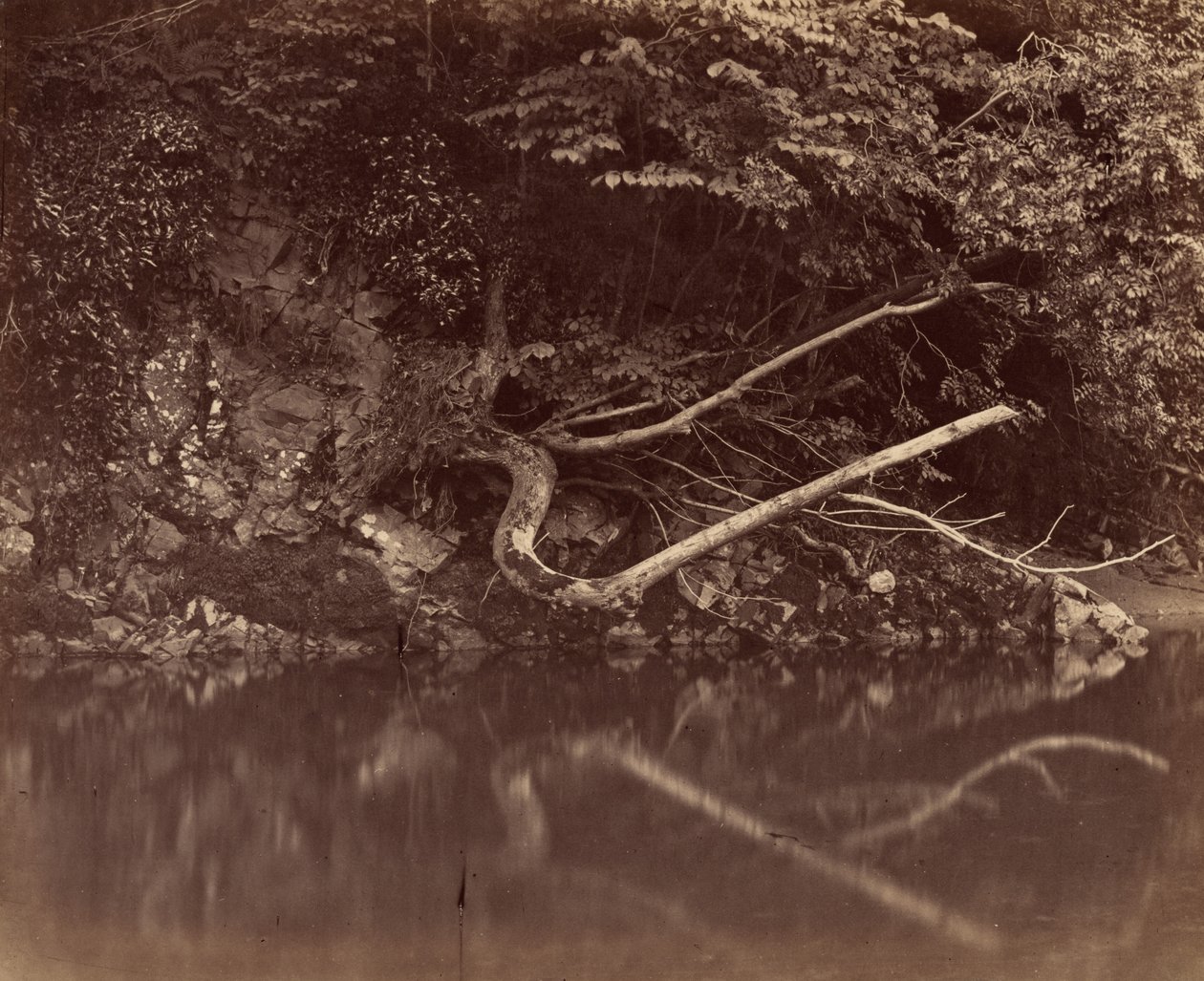 Rive dans la vallée de Neath - G.B. Gething