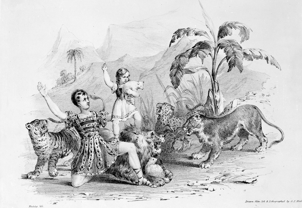 Isaac Van Amburgh domptant un lion - G. E. Madeley