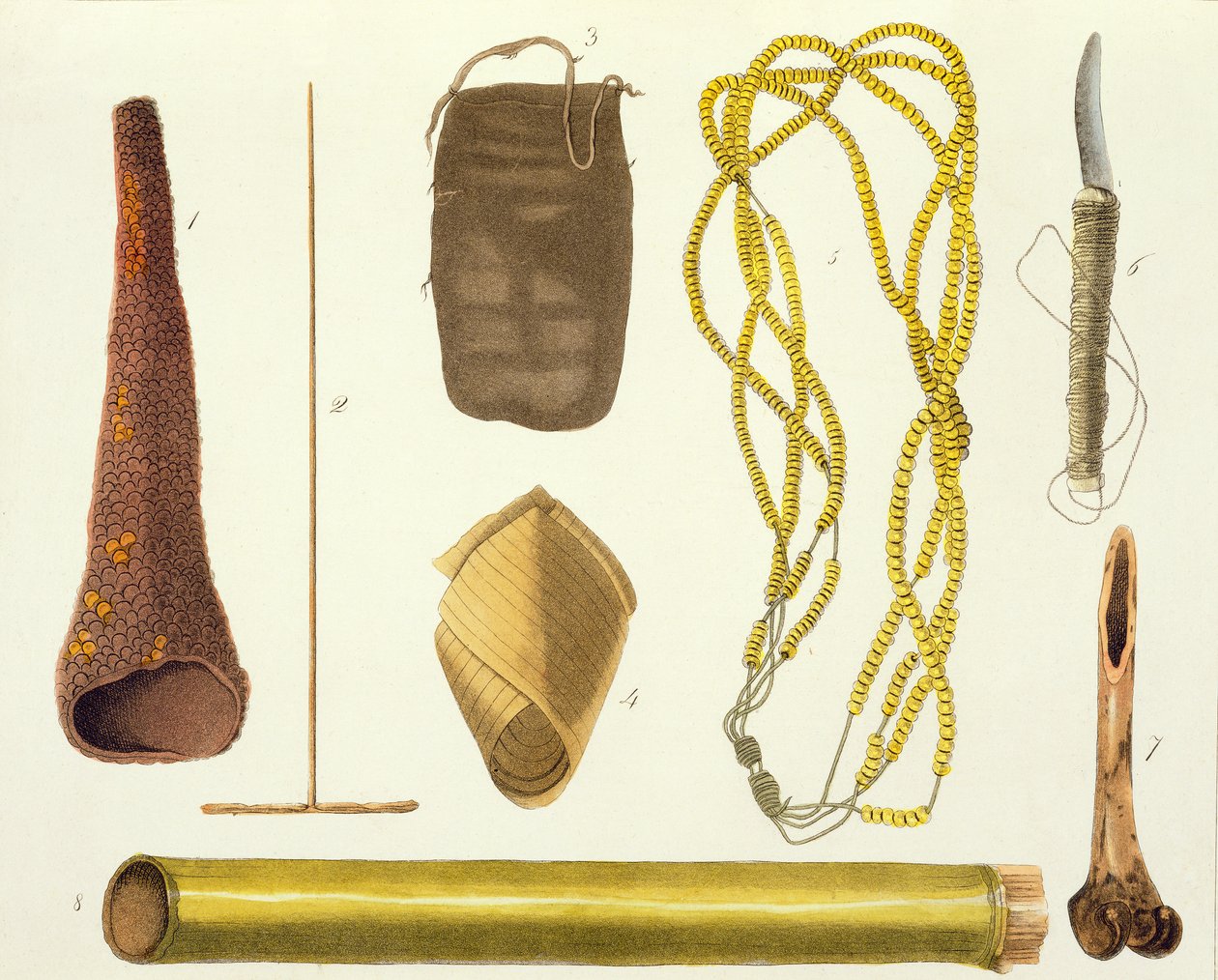 Objets appartenant aux Botocudos - Gallina