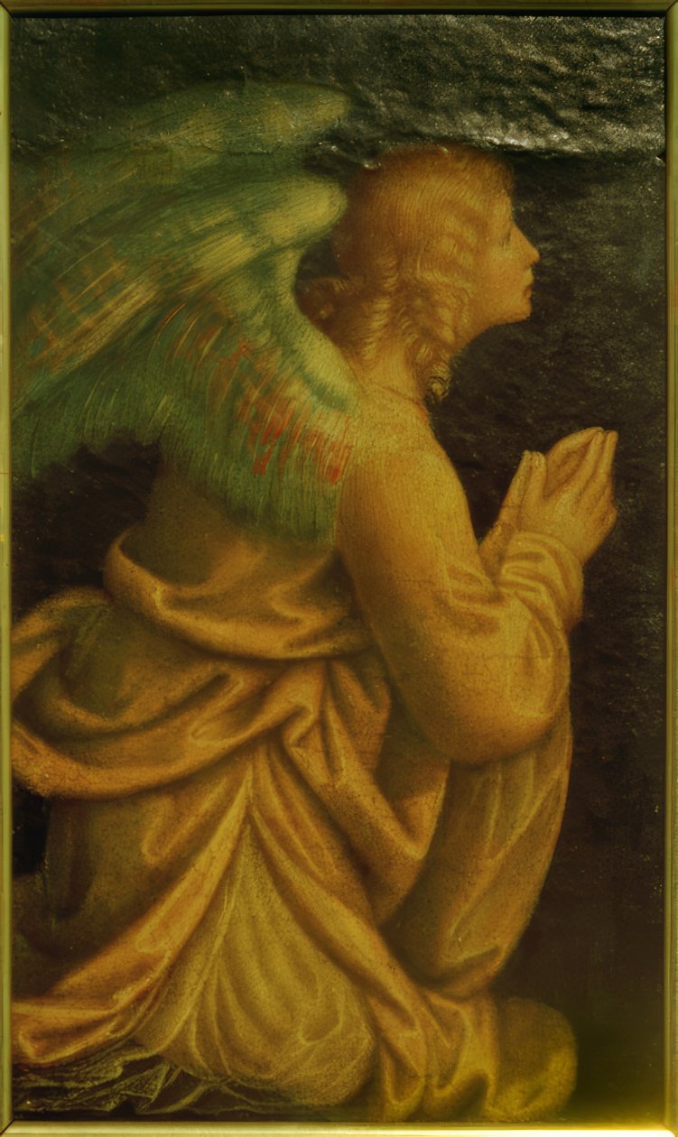 Ange adorant - Gaudenzio Ferrari