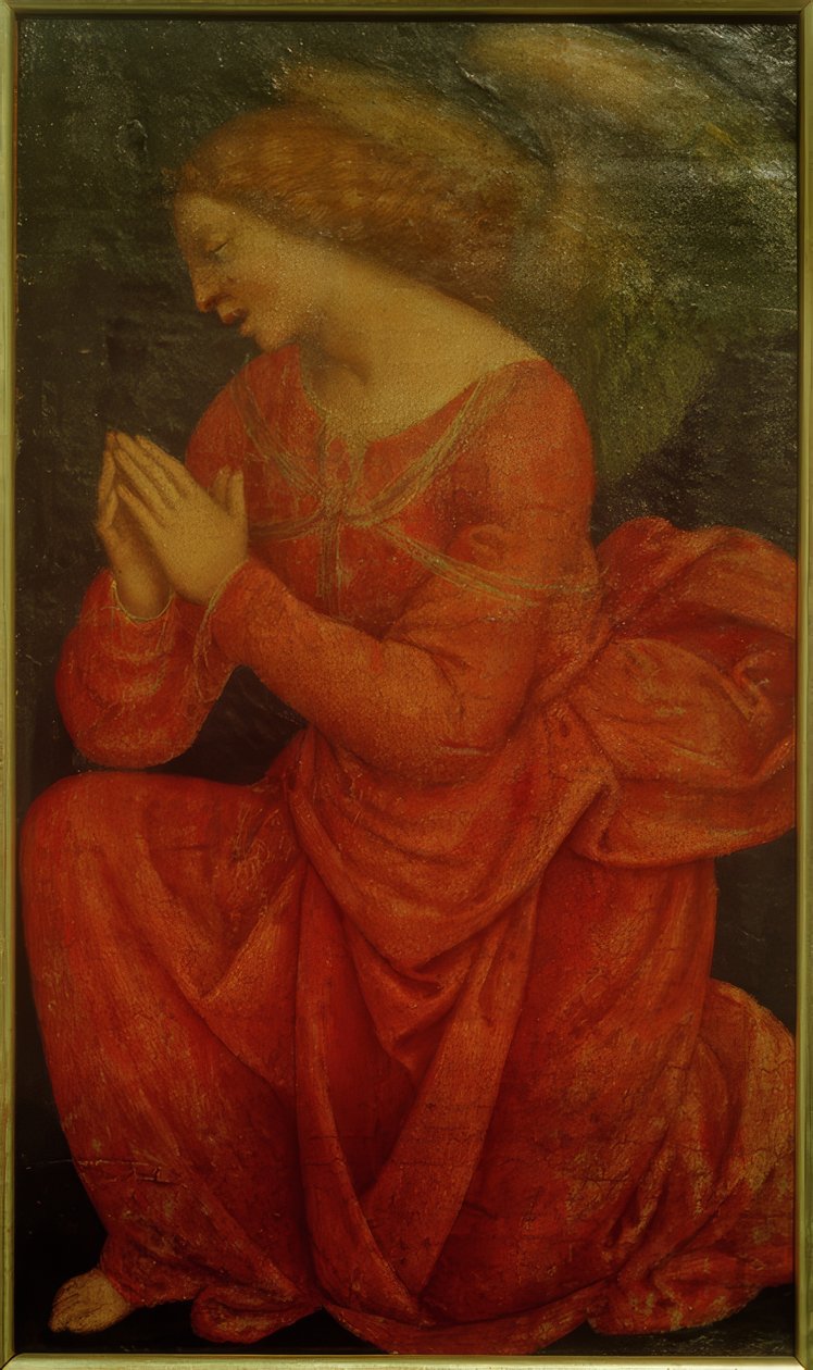 Ange adorant - Gaudenzio Ferrari
