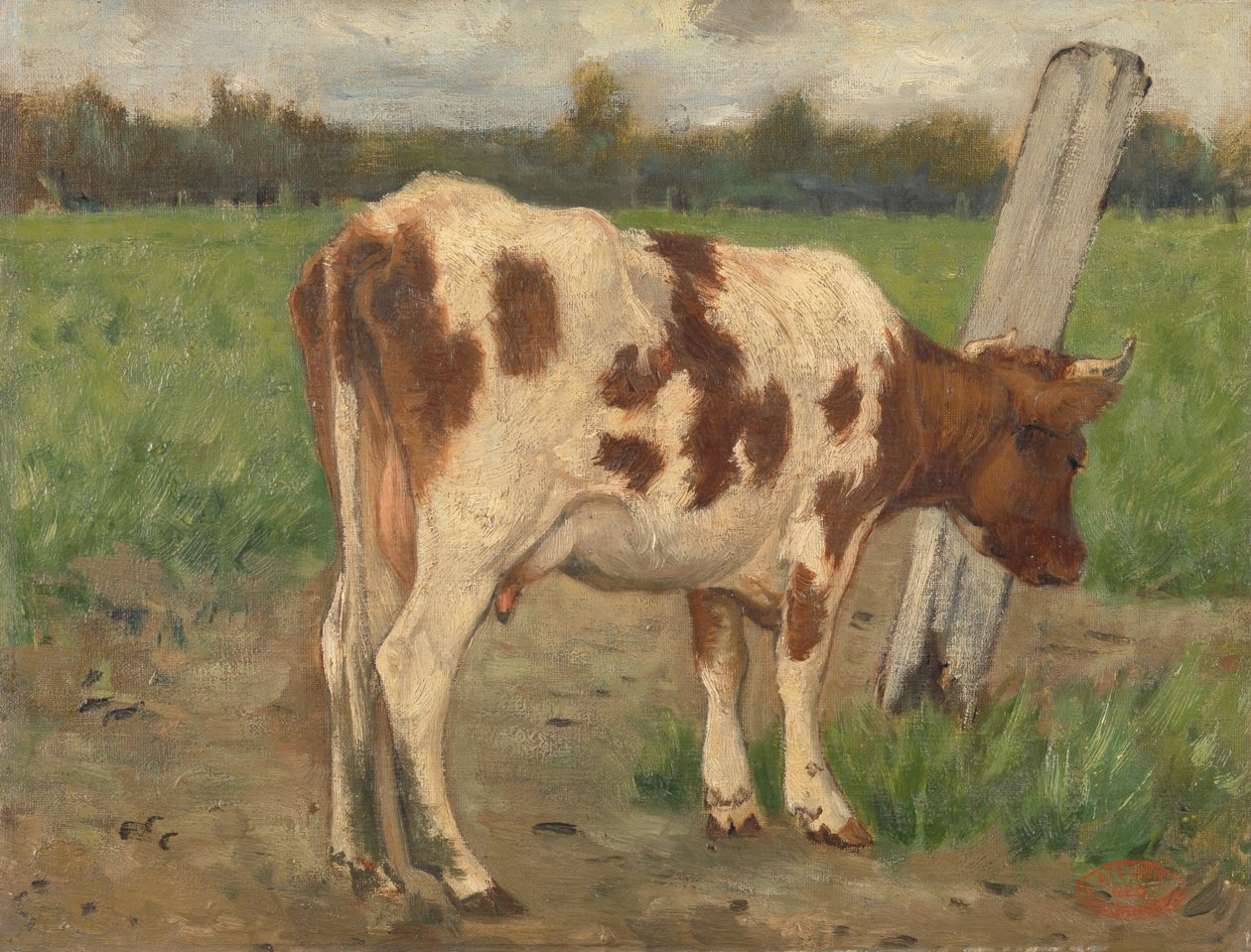 Vache - Geo Poggenbeek