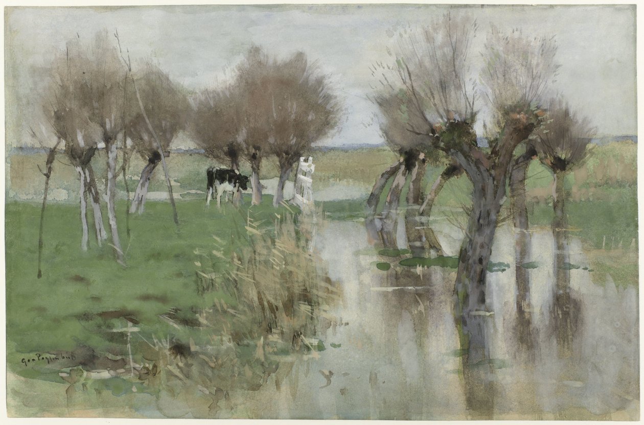 Hautes eaux dans le pré - Geo Poggenbeek