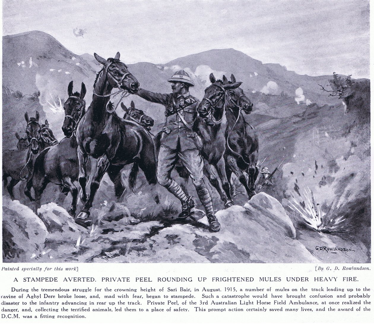 Stampede évité, le soldat Peel rassemblant des mules effrayées à Sari Bair en août 1915 - George Derville Rowlandson