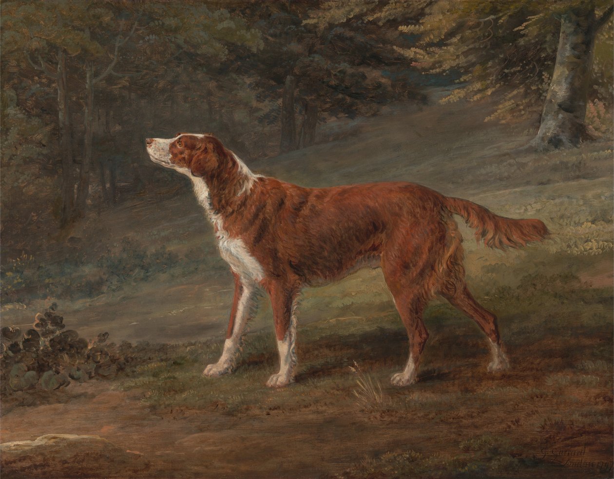 Ranger - George Garrard
