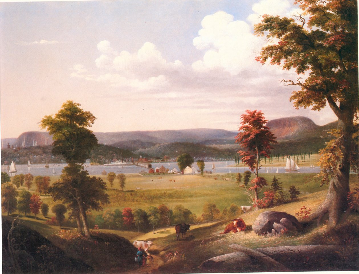 Été à New Haven, Vue d