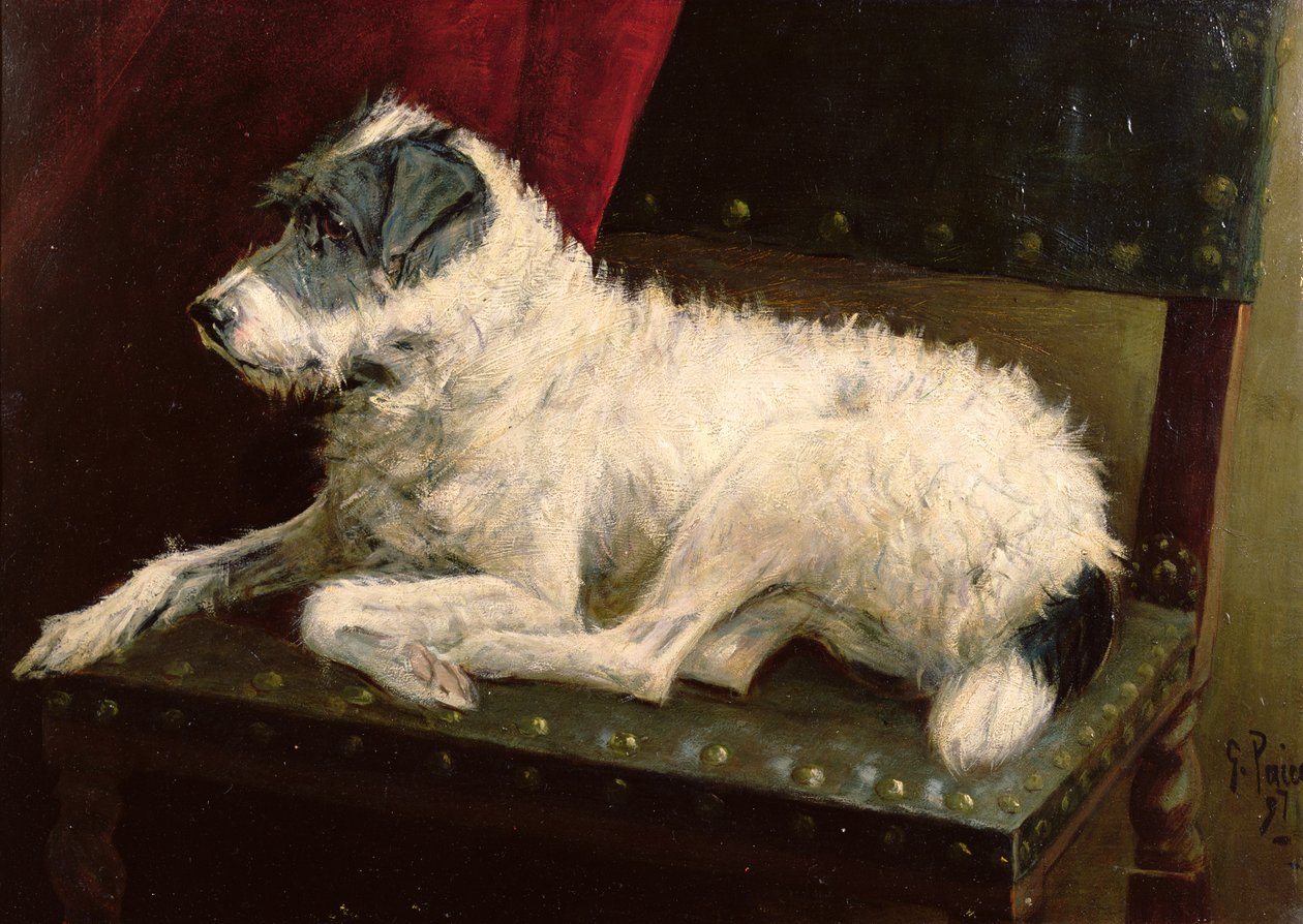 En Attendant le Maître - George Paice