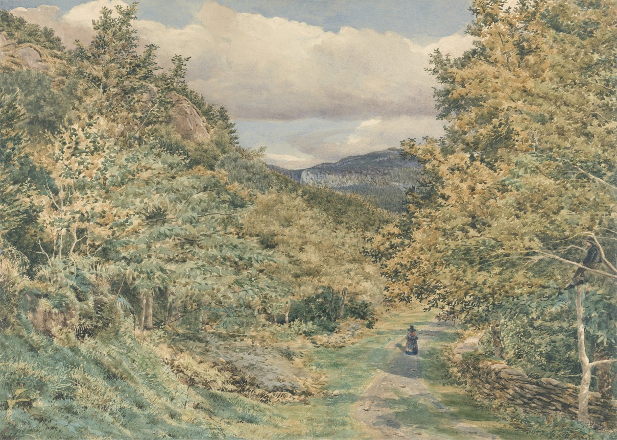 Une route près de Bettws-y-Coed, 1851 - George Price Boyce
