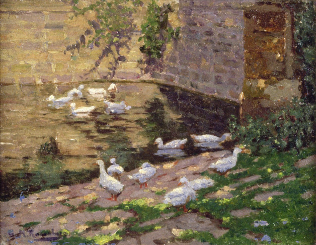 Canards sur un Étang - George Rosenberg