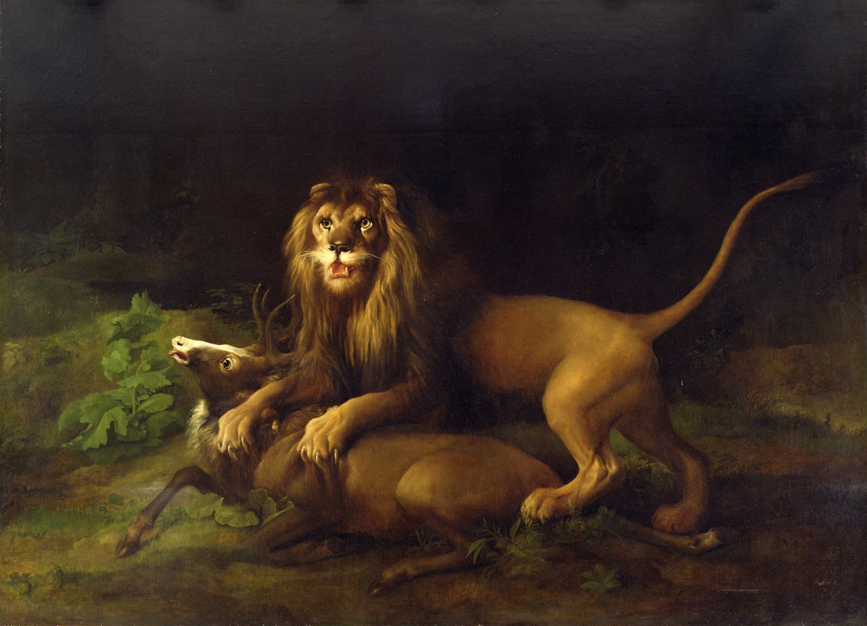 Un lion attaquant un cerf, c.1765 - George Stubbs