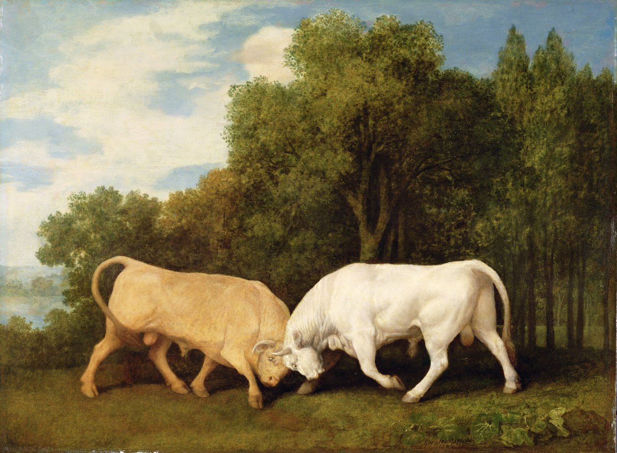 Combat de taureaux, 1786 - George Stubbs