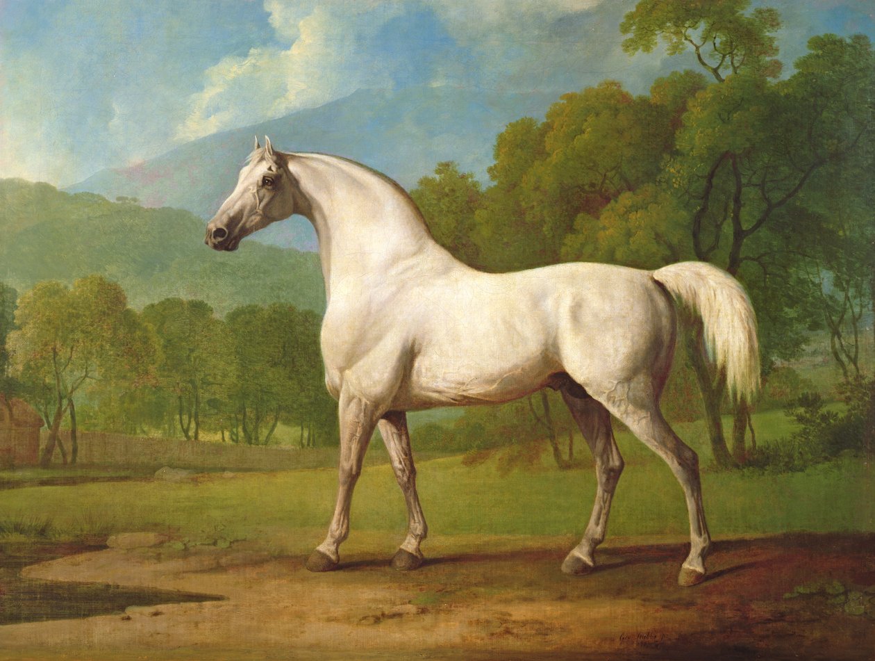 Mambrino, c.1790 - George Stubbs