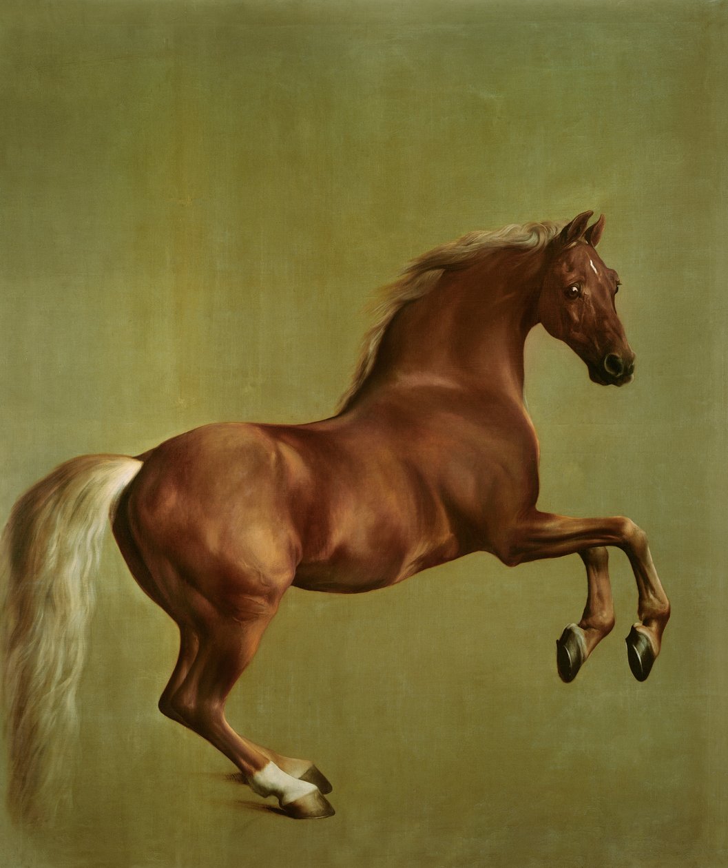 Whistlejacket, 1762 - George Stubbs