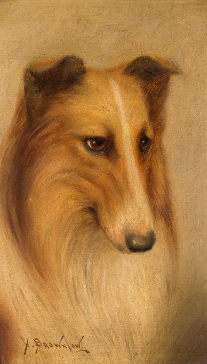 Colley - George Washington Brownlow