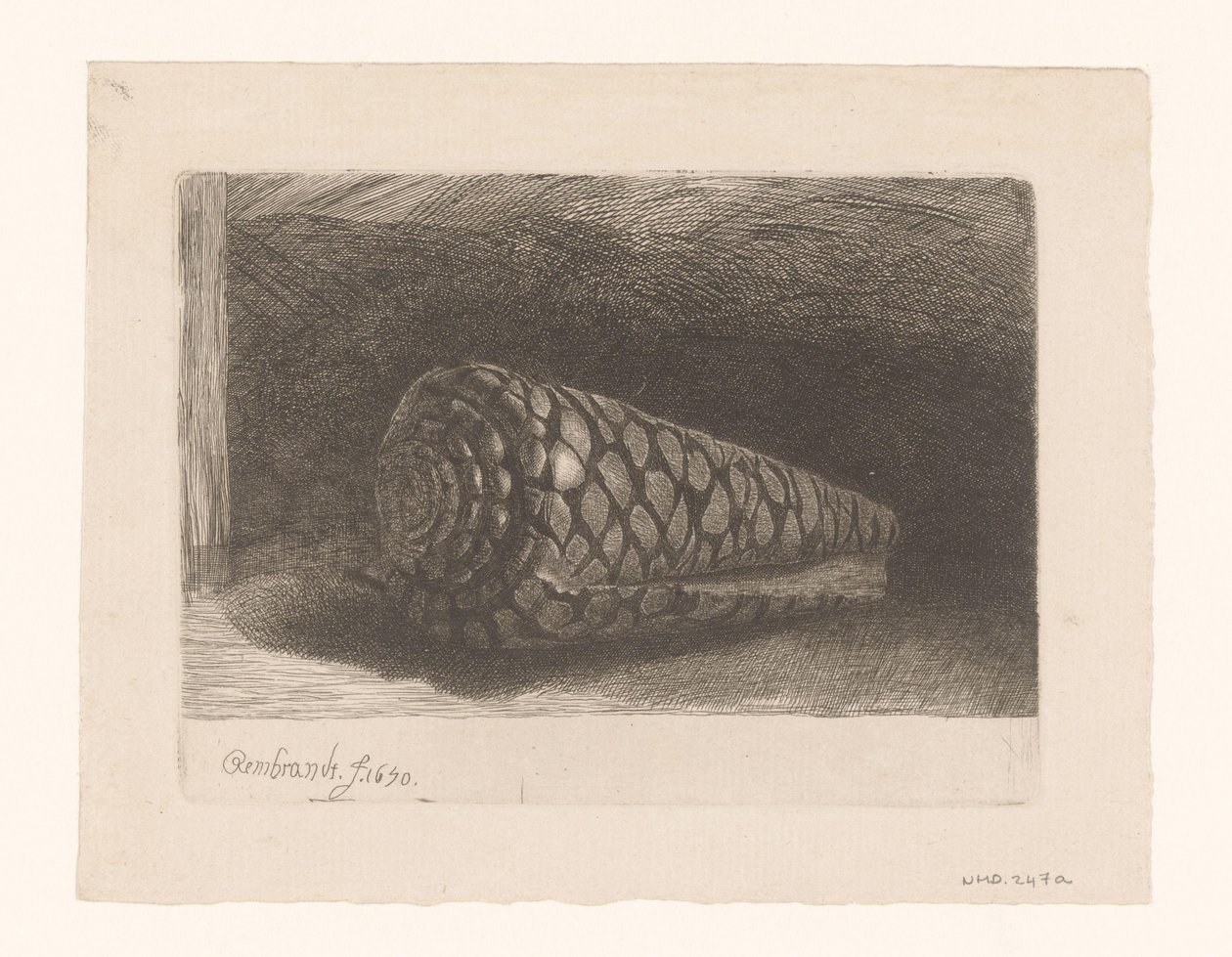 La coquille - George Bickham (II)