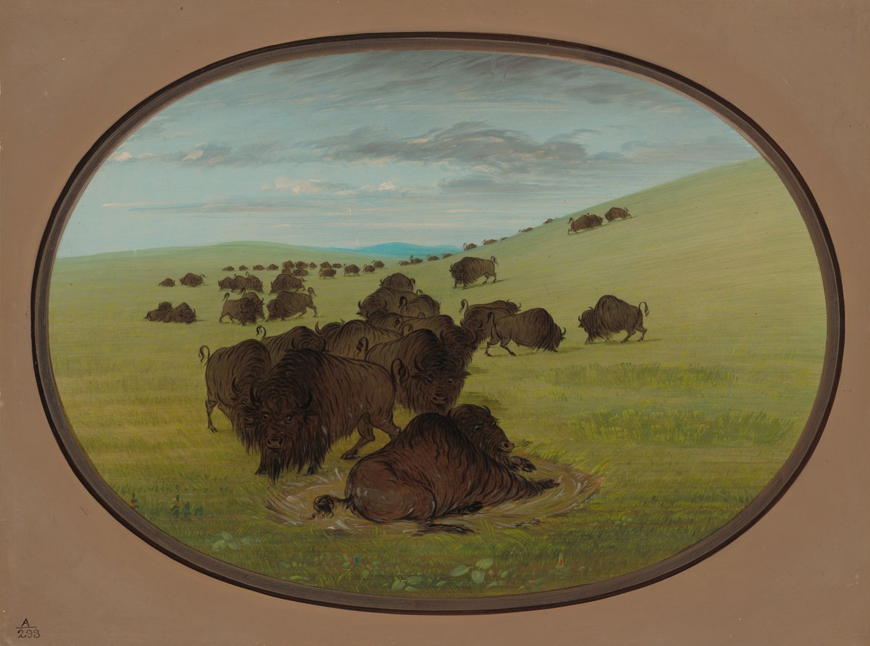 Un bourbier de buffles - George Catlin