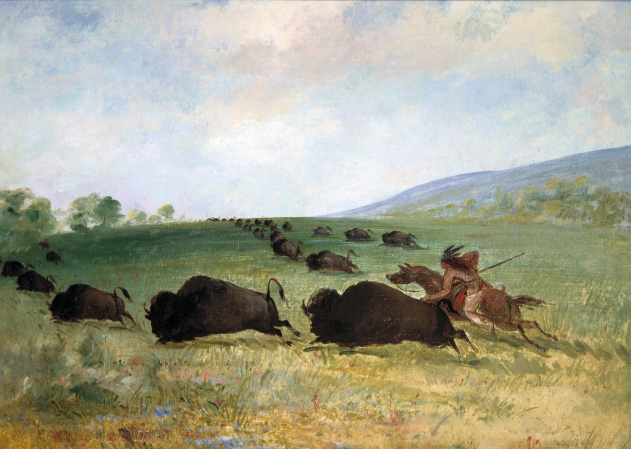 Un Indien Osage lève un buffle - George Catlin