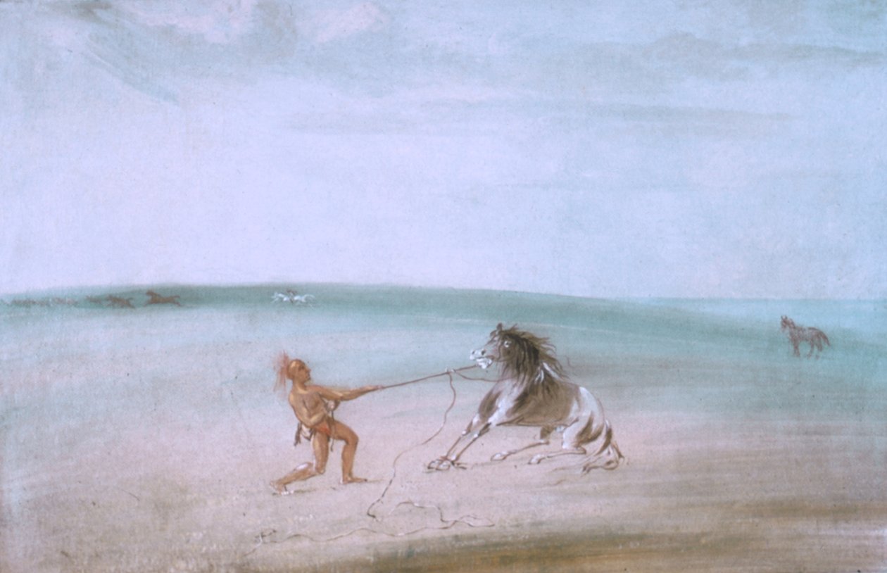 Démanteler le cheval sauvage - George Catlin