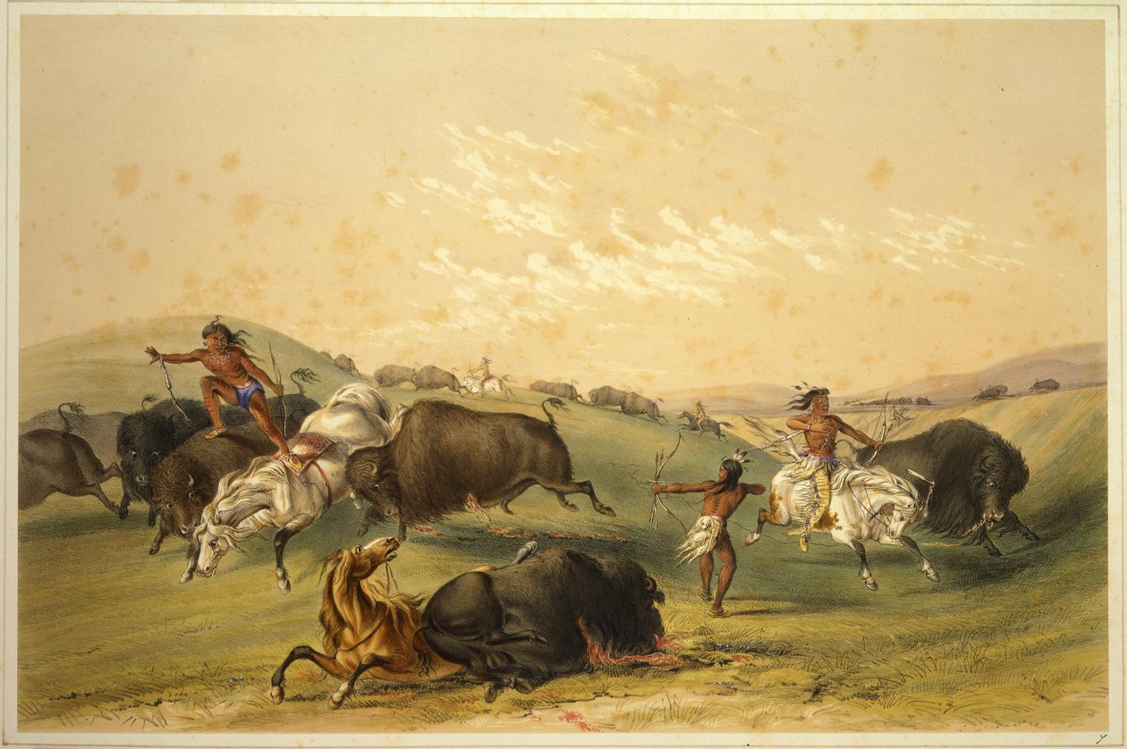 Chasse au buffle : Un groupe nombreux - George Catlin