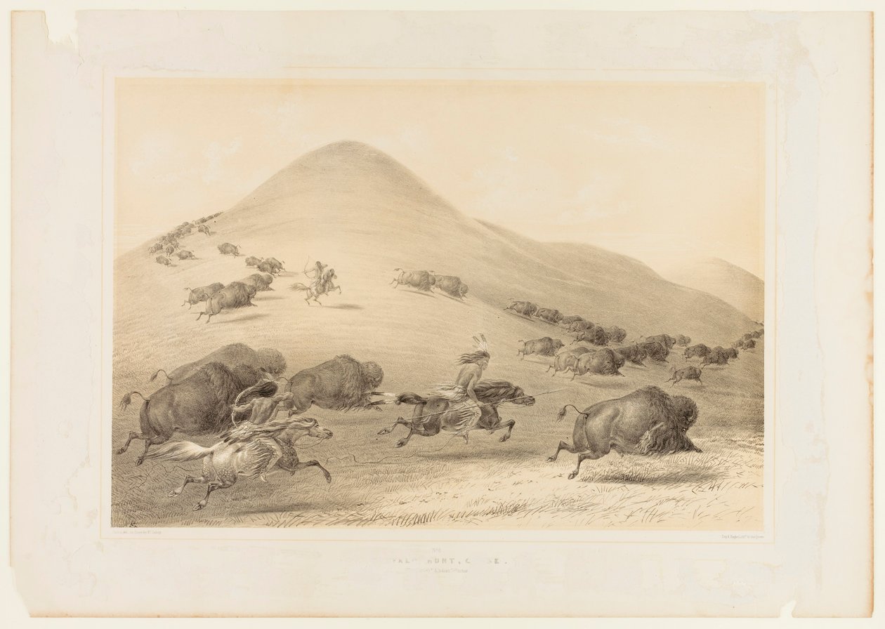 Chasse aux bisons, Chase--no. 6 - George Catlin