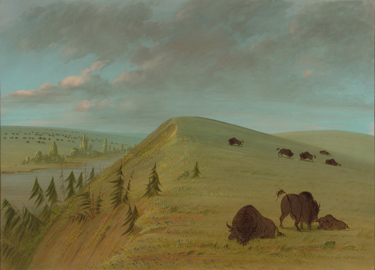 Falaises de cèdre, 1861-1869 - George Catlin