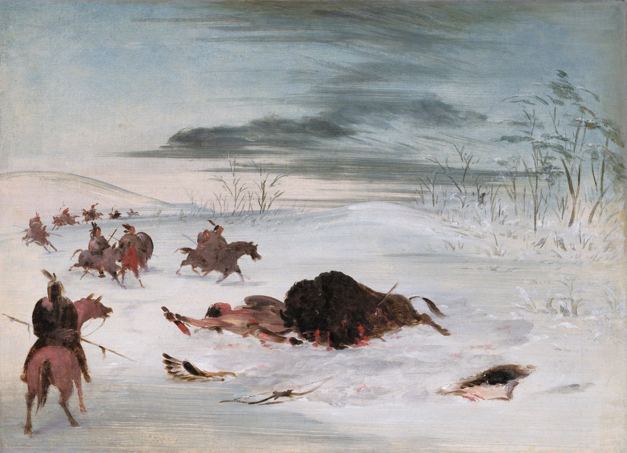 Taureau de Buffle mourant dans une congère - George Catlin