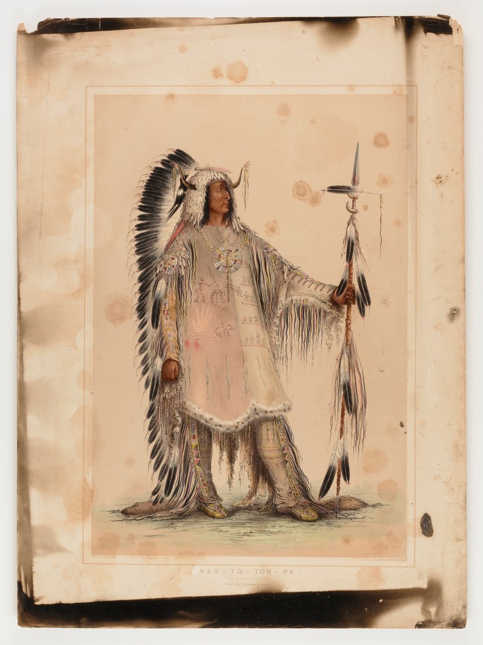 Mah-to-toh-pa, le chef des Mandans - George Catlin