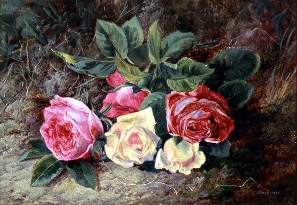 Roses - George Clare