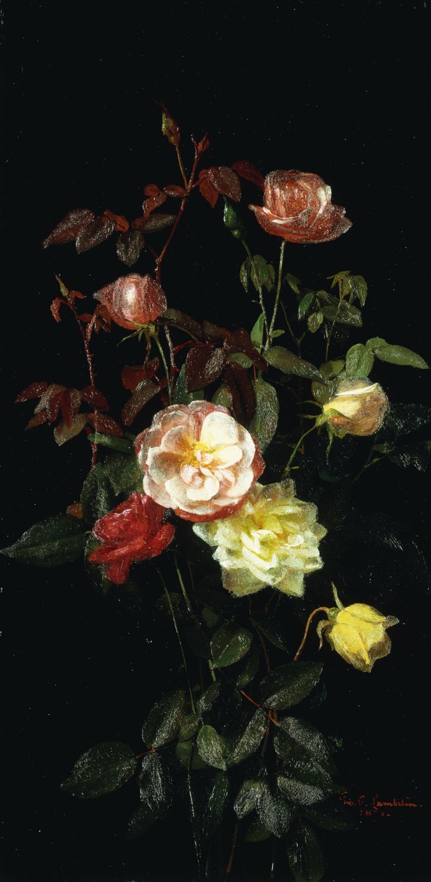 Roses - George Cochran Lambdin