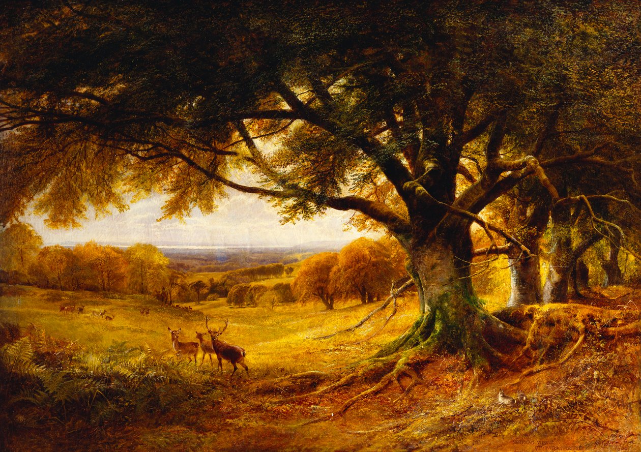 Spithead, Uppark, Sussex, 1868 - George Cole