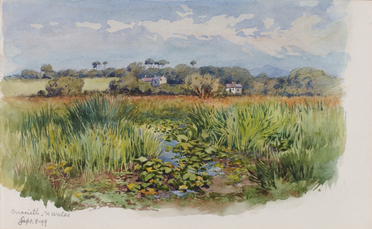Criccieth, Pays de Galles - George Elbert Burr