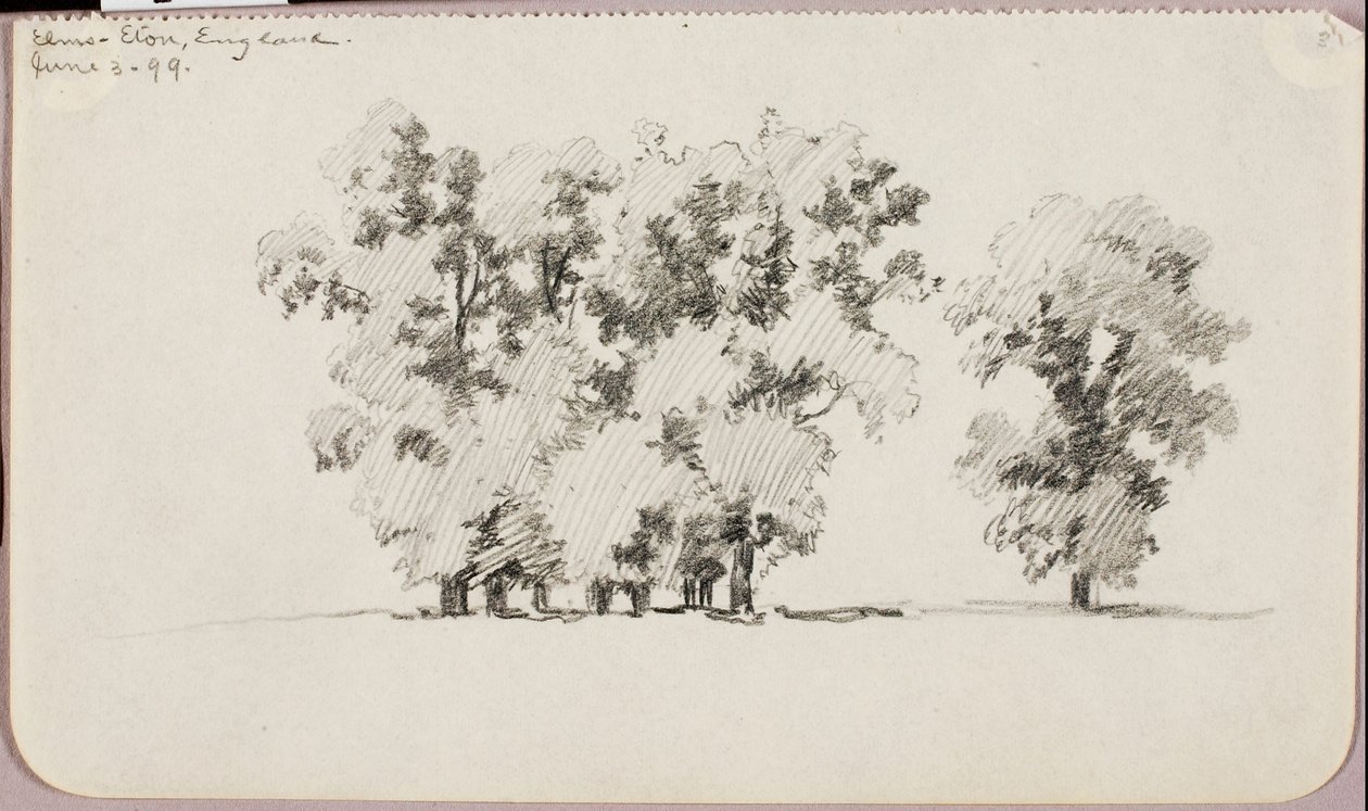 Elms--Eton, Angleterre - George Elbert Burr
