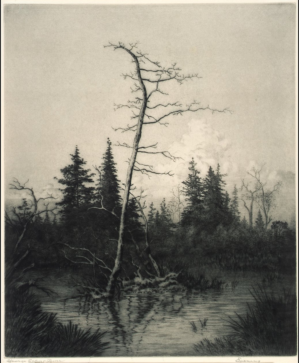 Soirée - George Elbert Burr