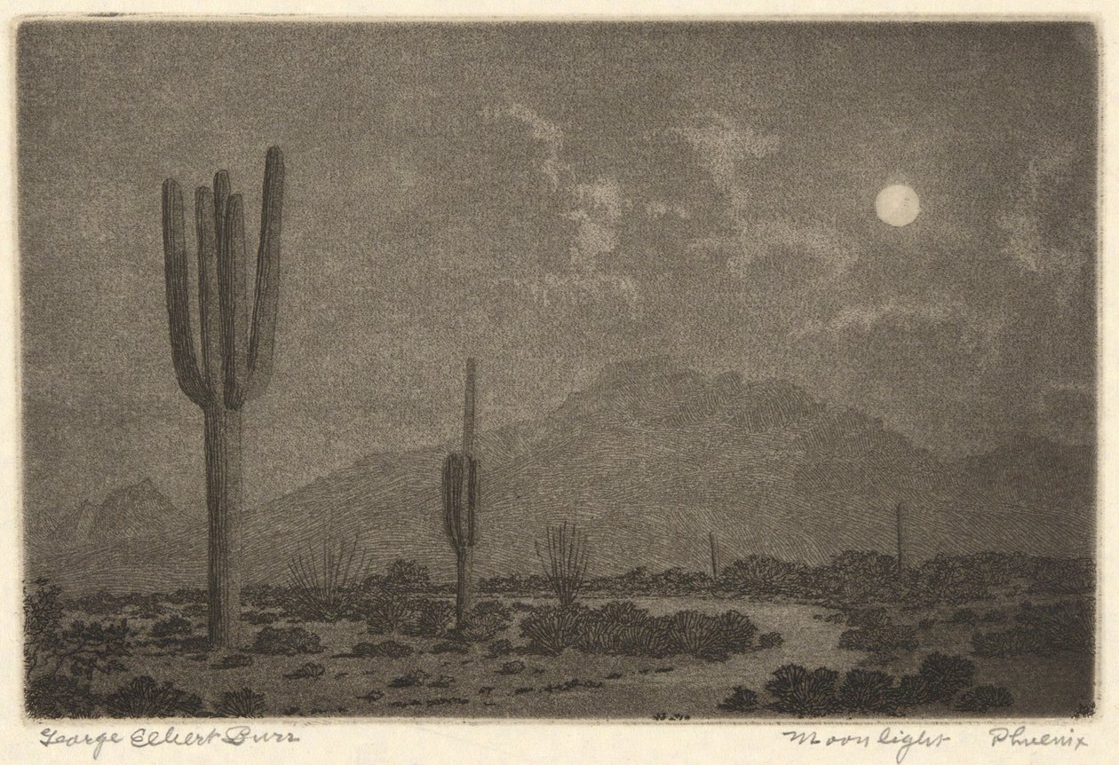 Clair de lune-Phoenix - George Elbert Burr