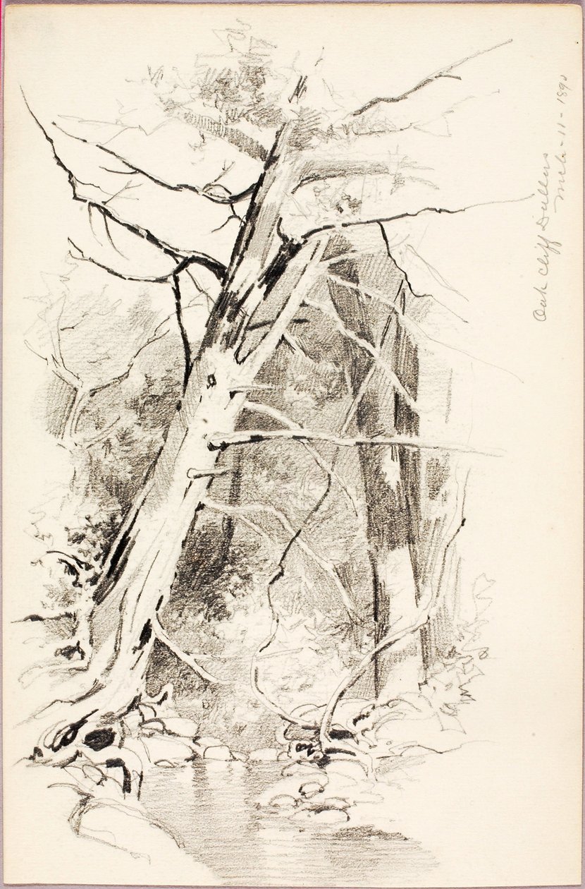Oak Cliff, Dallas - George Elbert Burr