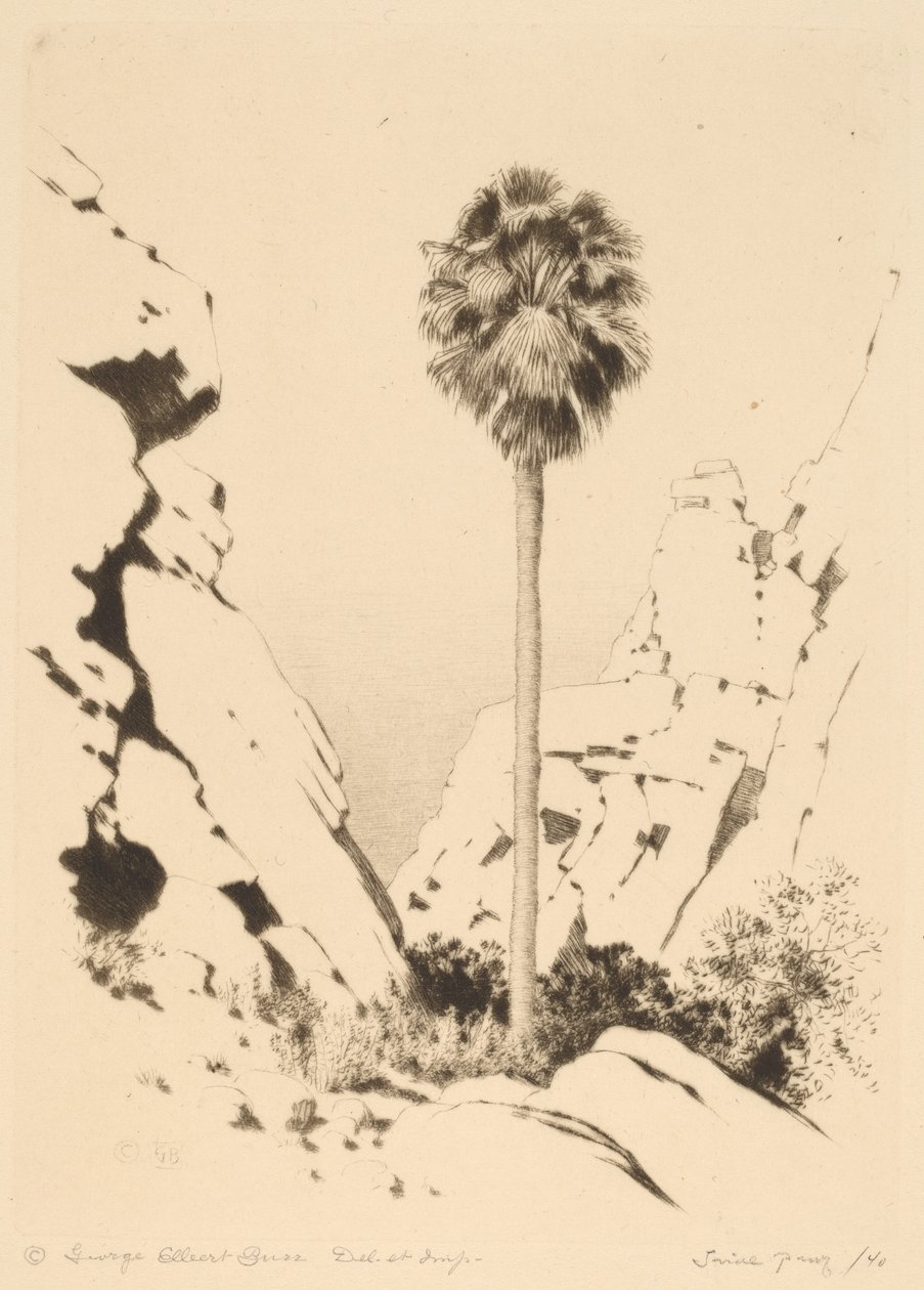 Canyon des Palmiers (no.1) - George Elbert Burr