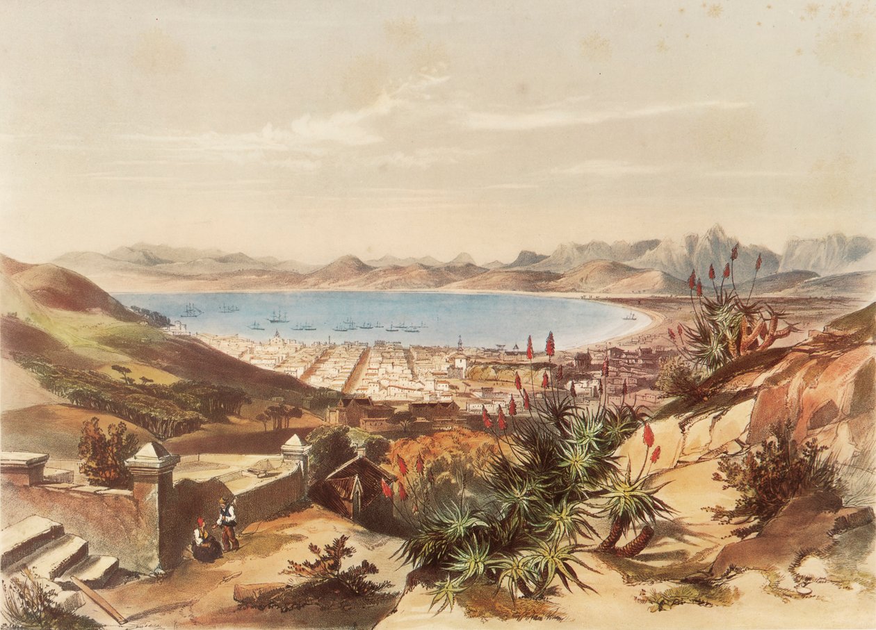 Le Cap - George French Angas