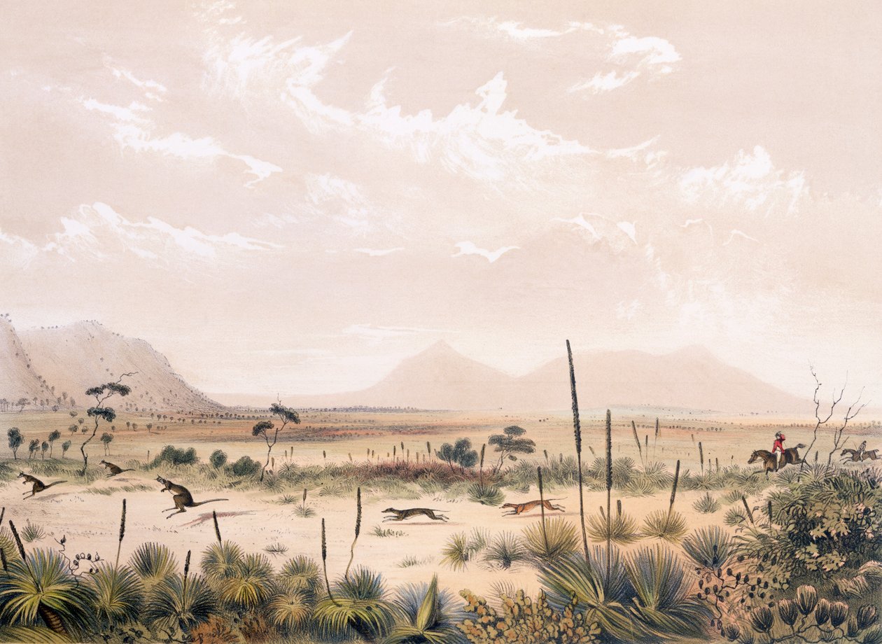 Chasse au kangourou - George French Angas
