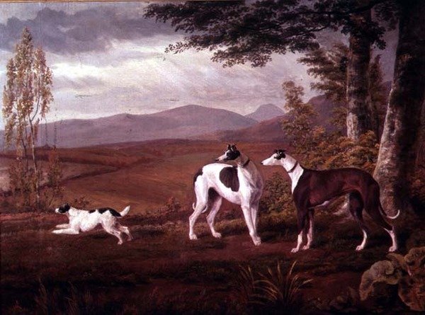 Lévriers dans un Paysage - George Garrard