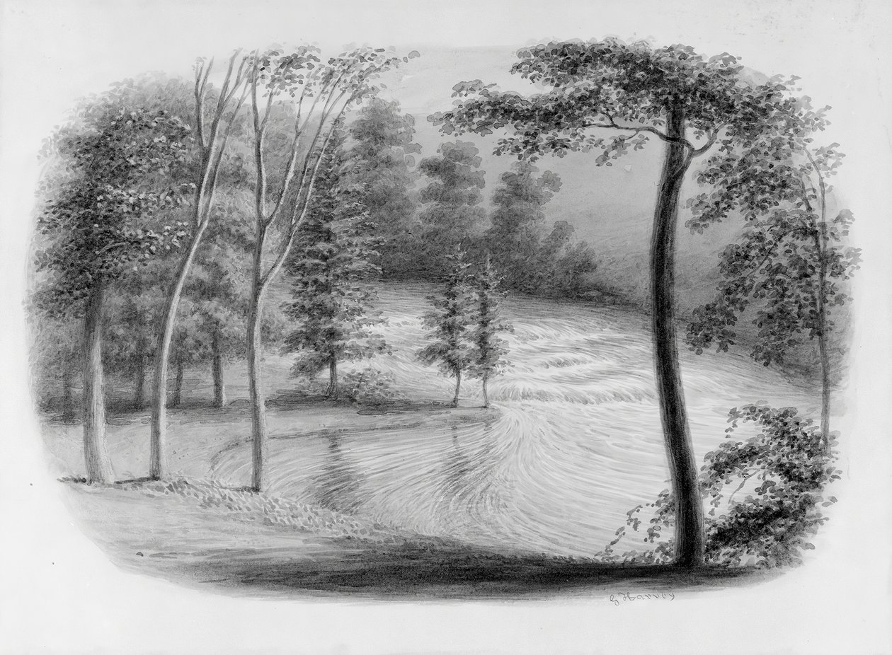 Un ruisseau de l